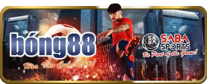 Tính năng ứng dụng HL88